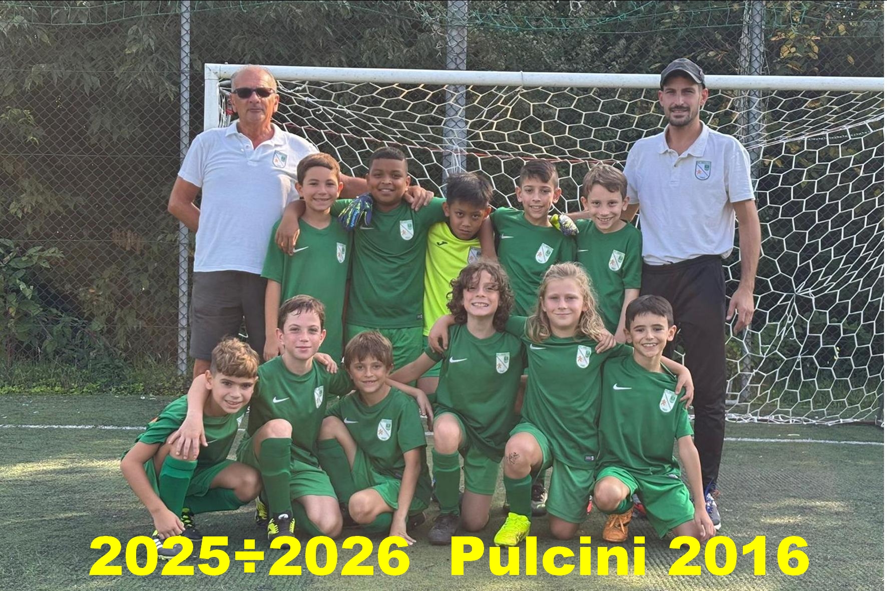 Pulcini 2016
